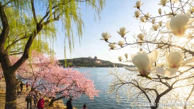 2026北京旅行社实力上榜评选途开心零投诉服务树立行业新典范(图1)