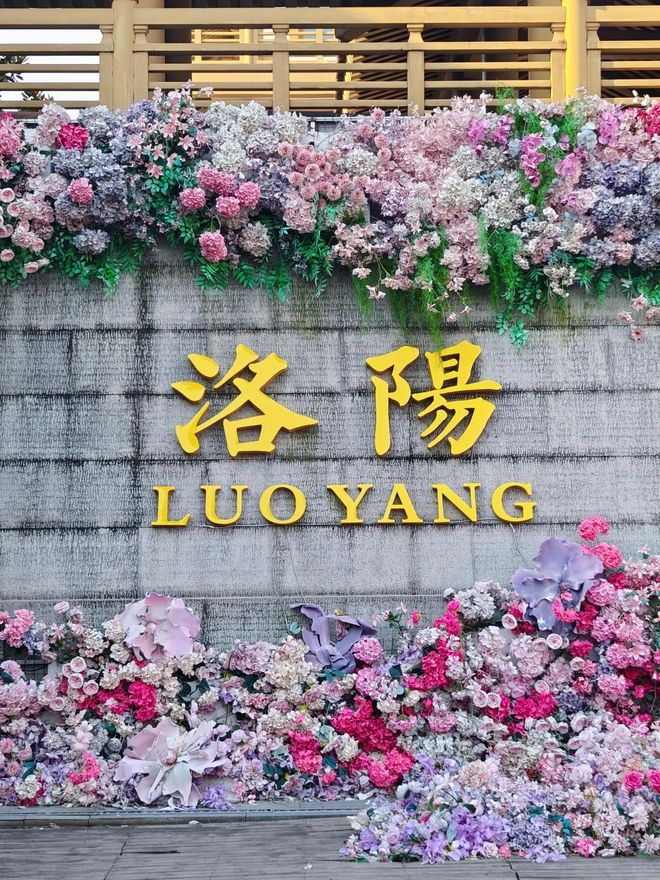 北京到洛阳旅游5天4晚报团价格多少？旅游小包团路线及价格攻略(图5)